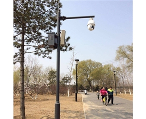 乌鲁木齐路灯监控杆-LB-03